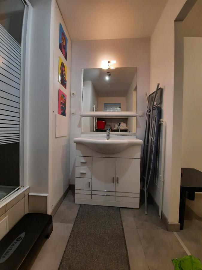 Copropriete Les Iris Apartment Saint-Etienne  Luaran gambar