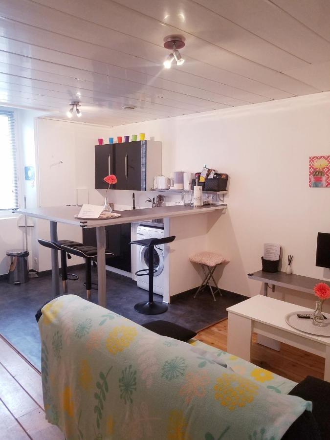 Copropriete Les Iris Apartment Saint-Etienne  Luaran gambar